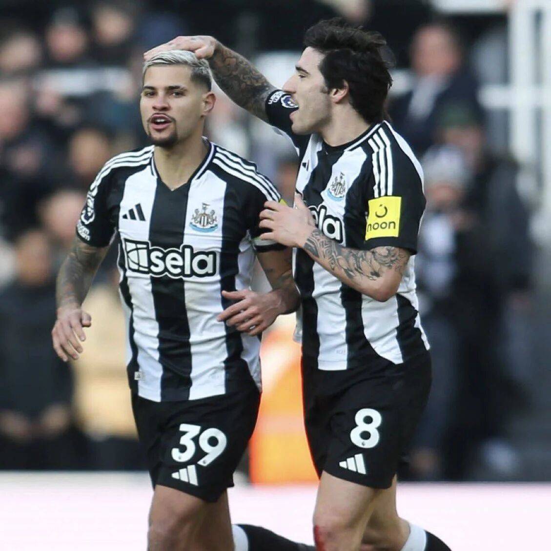 曝曼联买托纳利心理价位，高于7000万或放弃！签吉马良斯有一隐患